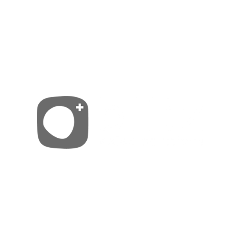 blitz-solution_-de-primera_partner